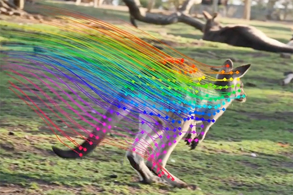 Dif-fused DINO-tracker: Zero-shot Point Tracking with Video Diffusion Motion Features
